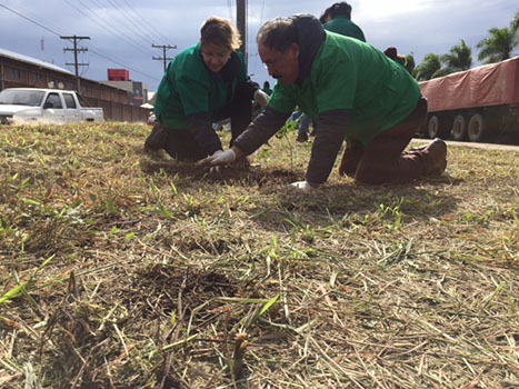 Plantando